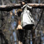 Isla de las Muñecas: cómo llegar, cuánto cuesta y cuánto dura