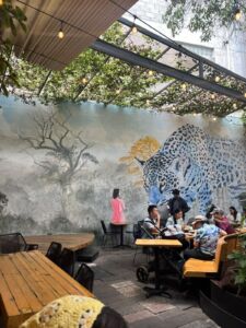 Frëims CDMX: reseña de brunch en la Condesa