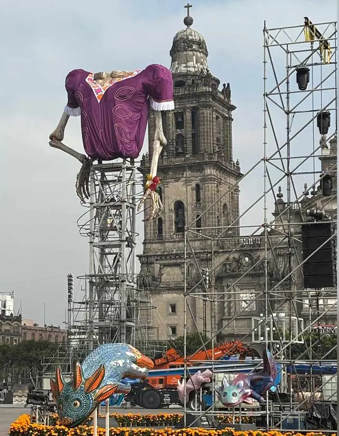 Montaje de la Catrina gigante del Zócalo: el torso con blusa morada sobre una torre de andamios junto a la Catedral Metropolitana, con alebrijes y cempasúchil al pie