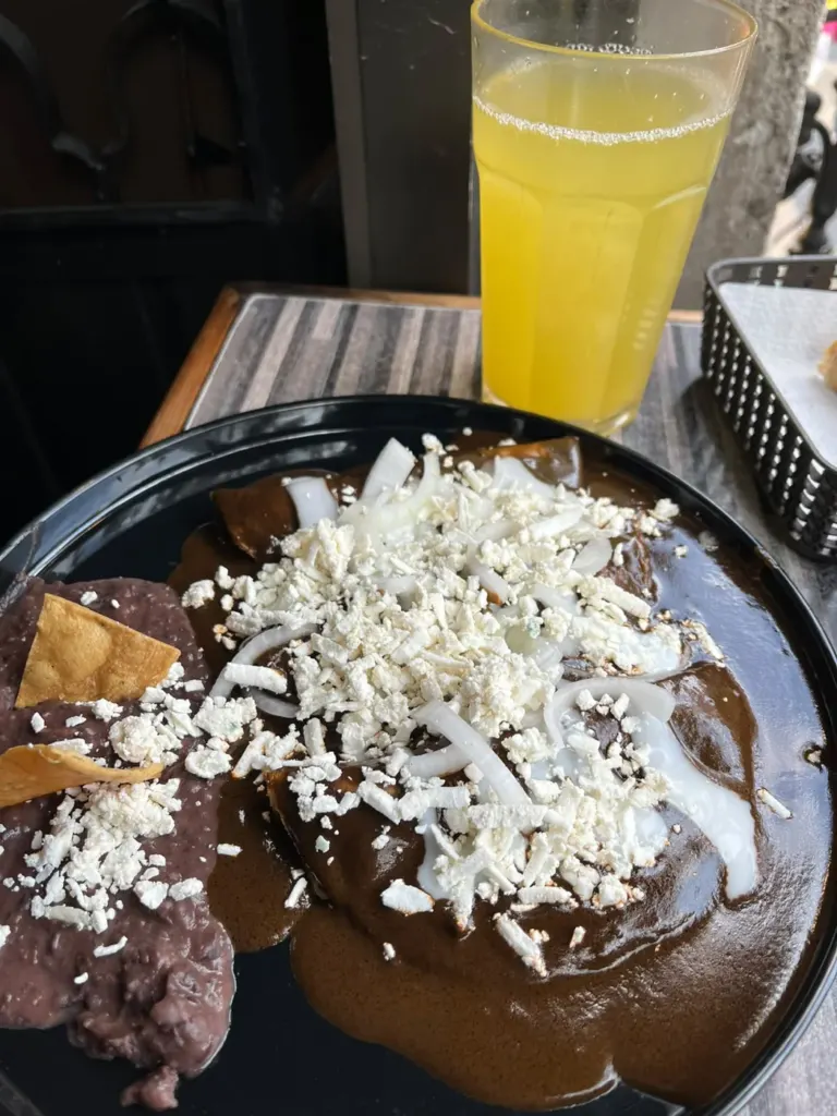 Plato de mole vegano con queso vegetal en Terra Nostra