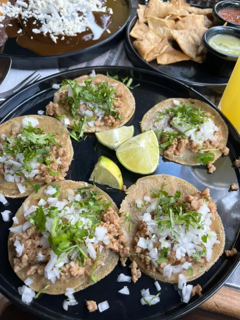 Tacos de suadero veganos con limon en Terra Nostra, Centro Historico CDMX
