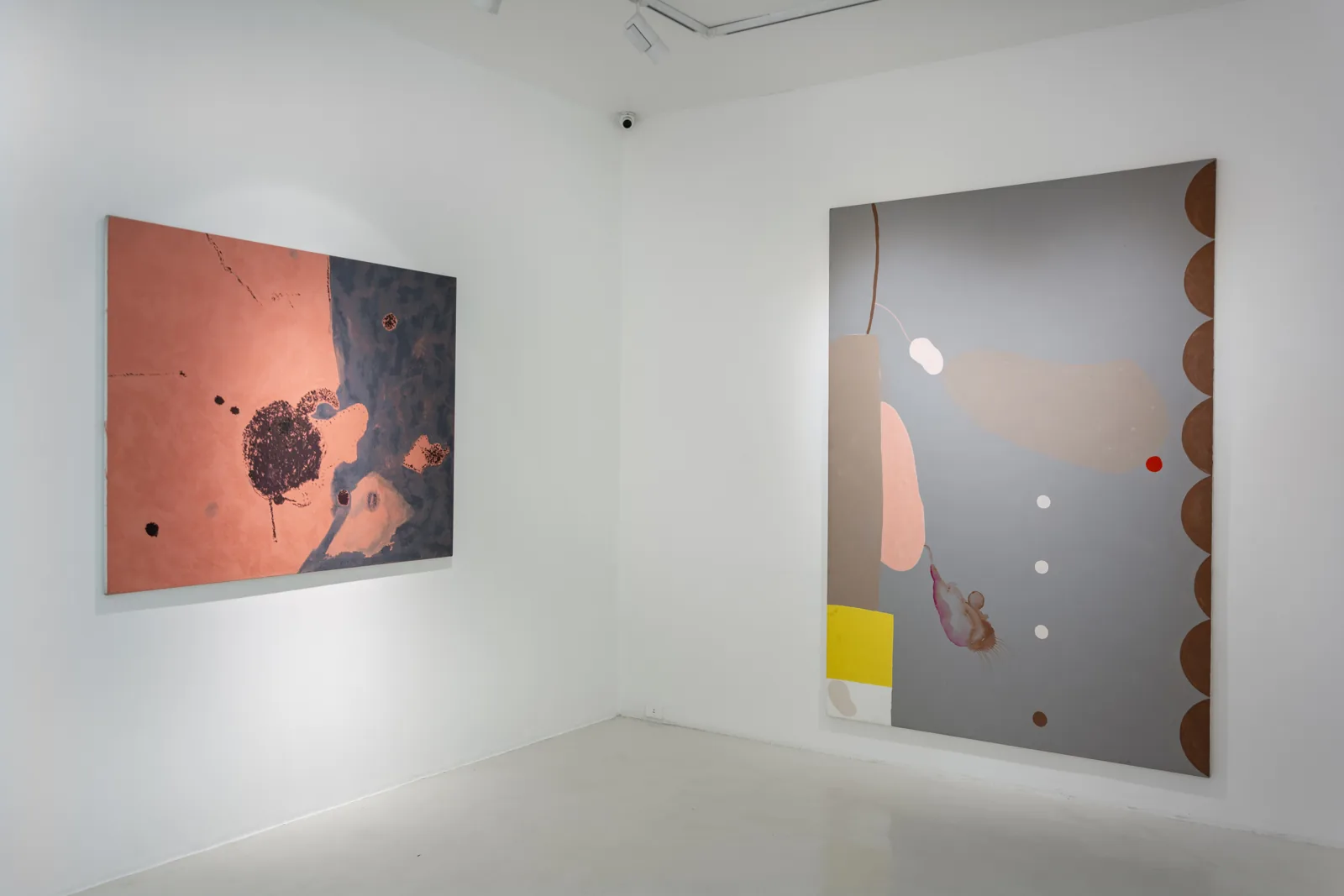 Dos pinturas de James Brown en tonos salmón y gris en una sala blanca de la galería