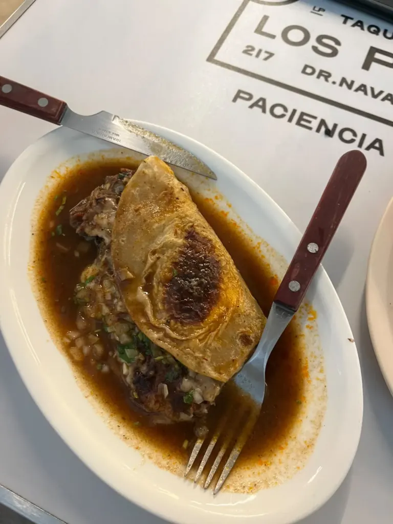 Quesabirria de Los Pacientes de cerca, con el queso haciendo hilo