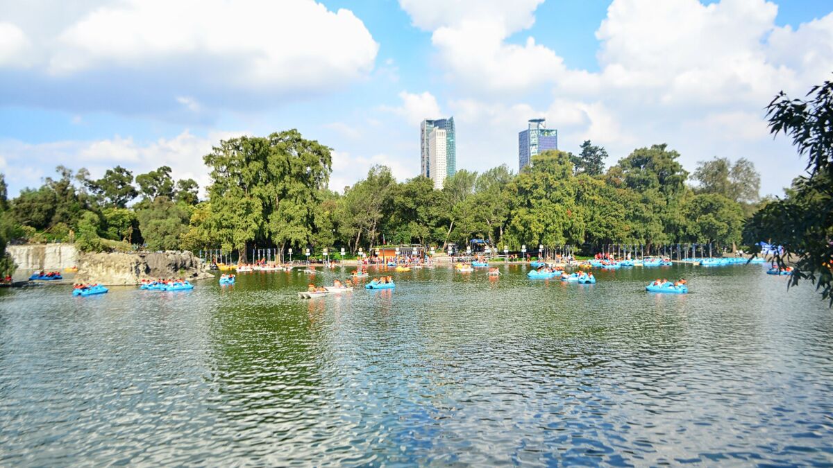 Lago Mayor de la Segunda Sección del Bosque de Chapultepec con lanchas y árboles al fondo