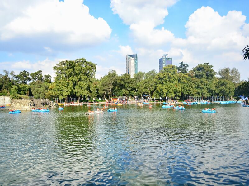 Sendero del Cempasúchil 2026 en Chapultepec: fechas, drones, linternas y qué es gratis