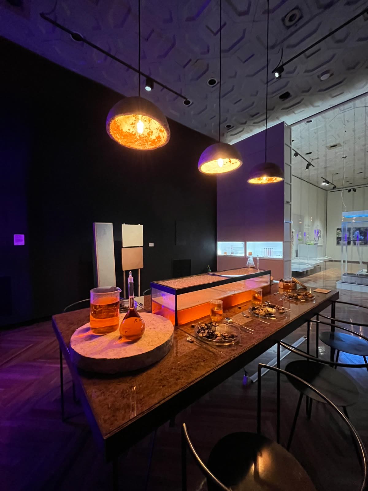 Sala con iluminación morada y objetos de biodiseño en Biodiseño Mx. Territorios vivos